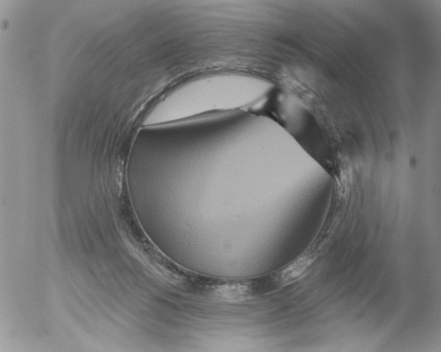 X0000053060168200508011923