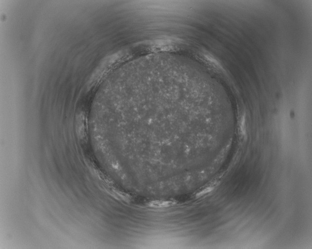 X0000053060169200508011923