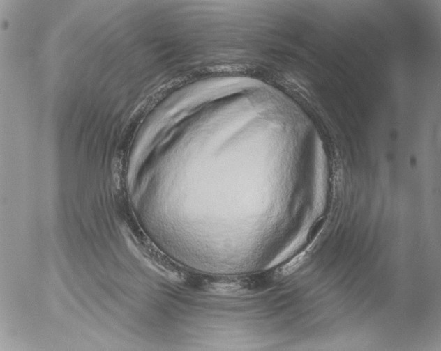 X0000053060171200508011923