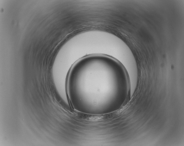 X0000053060172200508011923