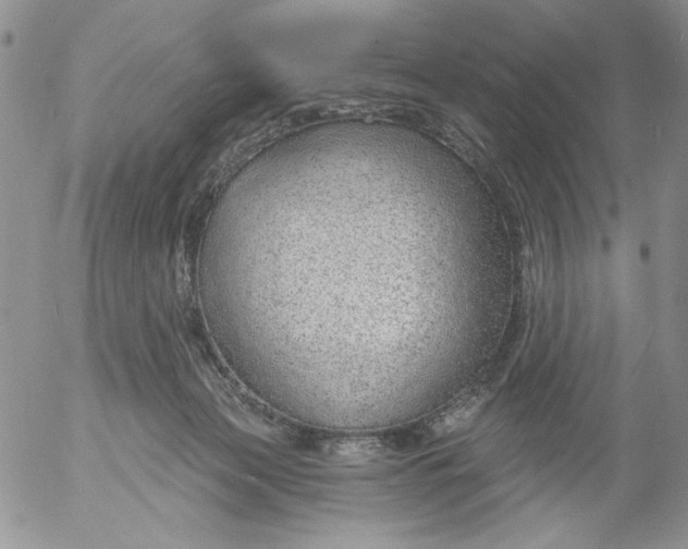 X0000053060173200508011923