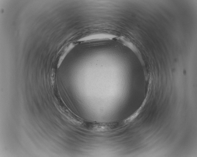 X0000053060174200508011923