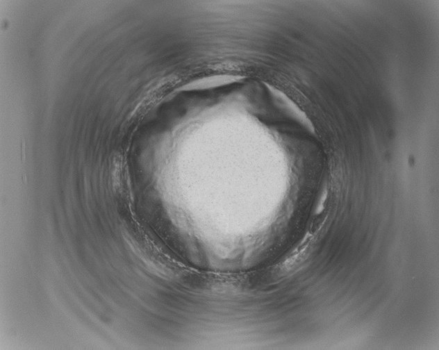 X0000053060175200508011923