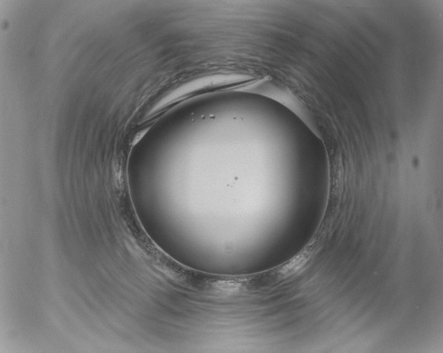 X0000053060176200508011923