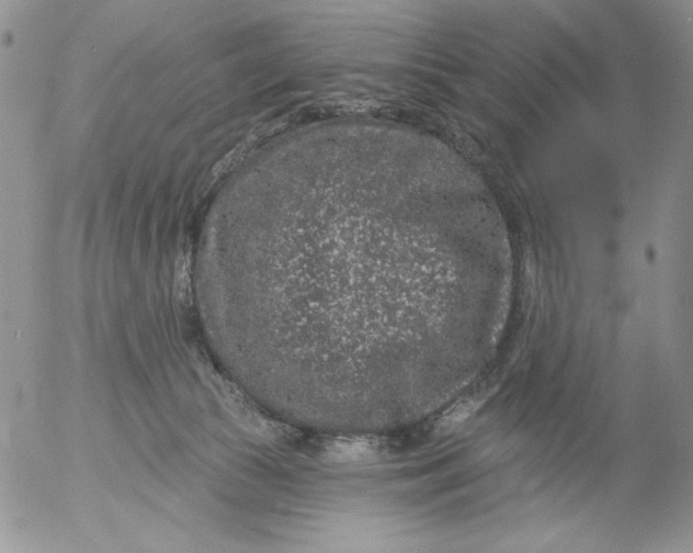 X0000053060177200508011923