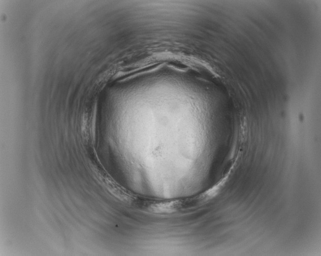 X0000053060178200508011923