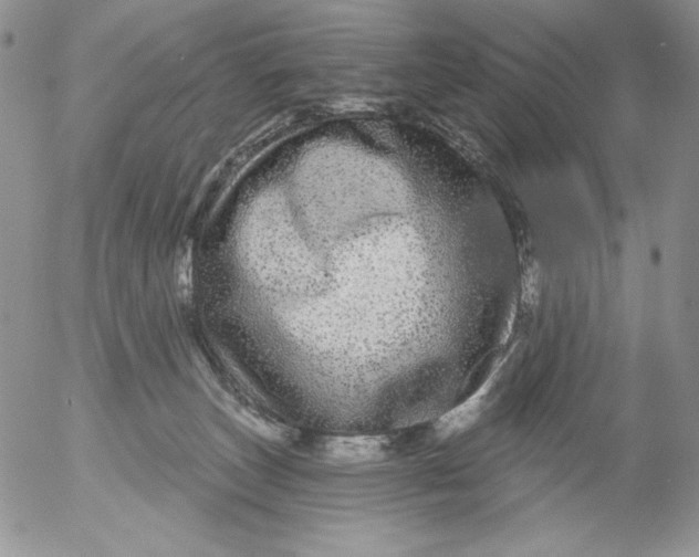 X0000053060179200508011923