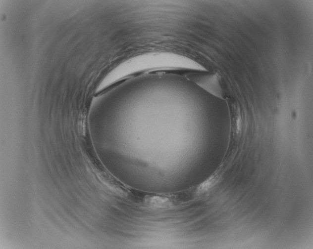 X0000053060180200508011923