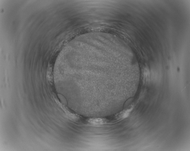 X0000053060181200508011923