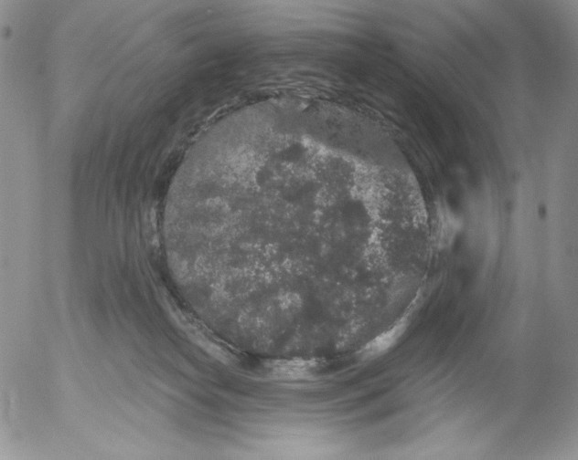 X0000053060182200508011923