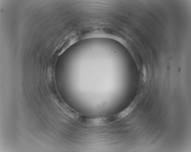 X0000053060184200508011923