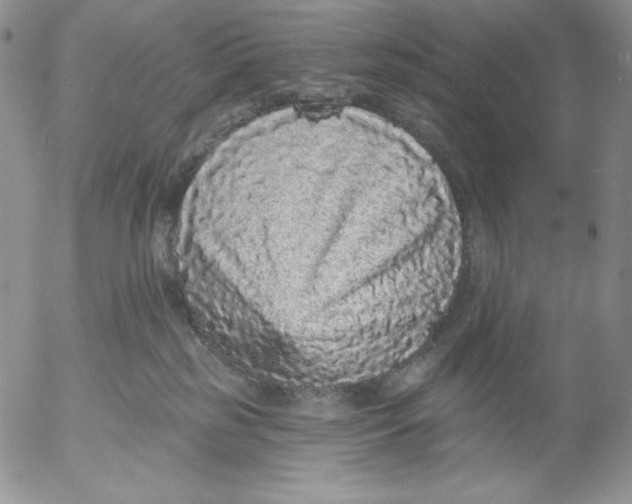 X0000053060185200508011923