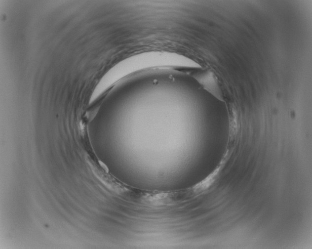 X0000053060186200508011923