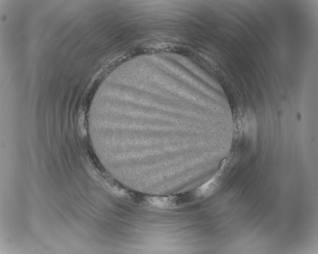 X0000053060187200508011923