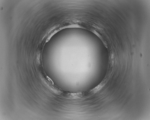 X0000053060188200508011924