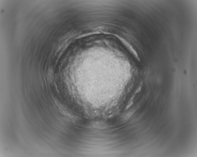 X0000053060189200508011924