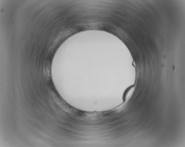 X0000053060190200508011924