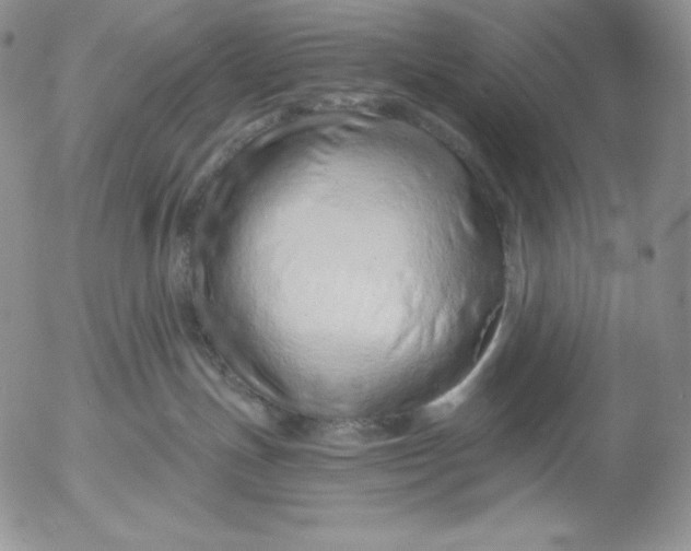 X0000053060191200508011924