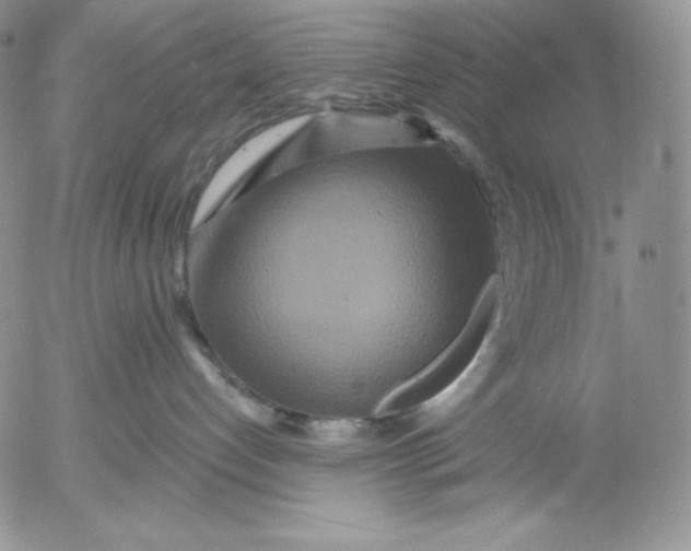 X0000053060192200508011924