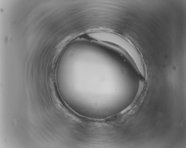 X0000053060193200508011923