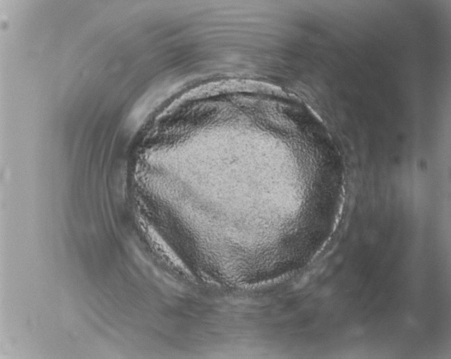 X0000053060194200508011923