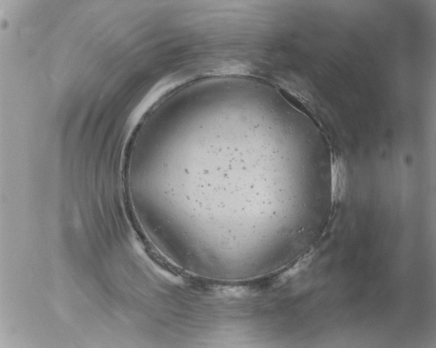 X0000053060195200508011923