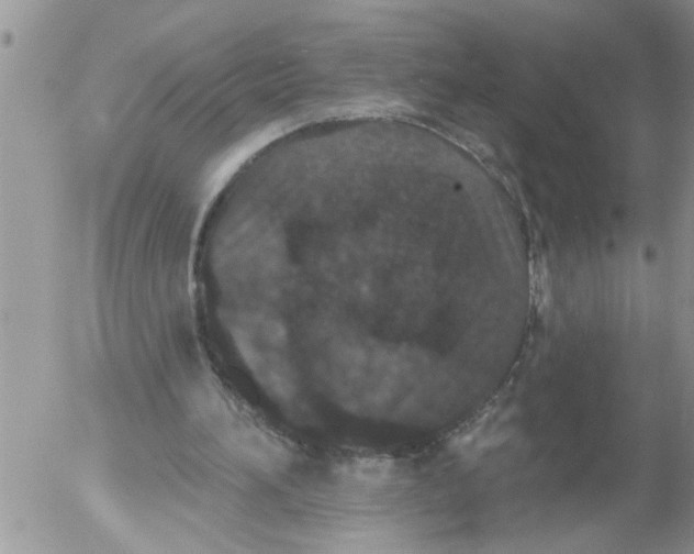 X0000053060196200508011923