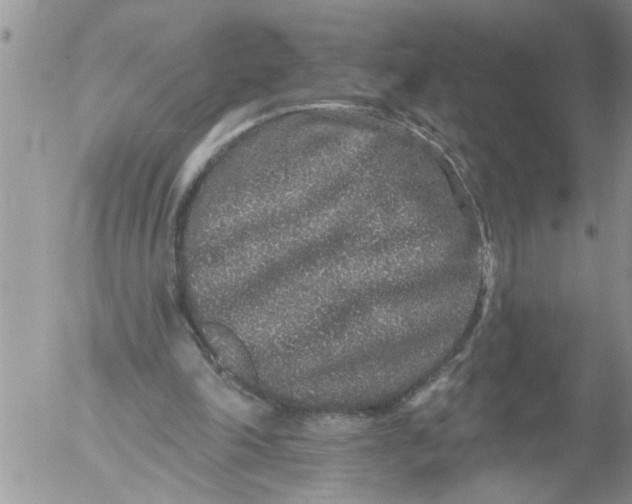 X0000053060198200508011923