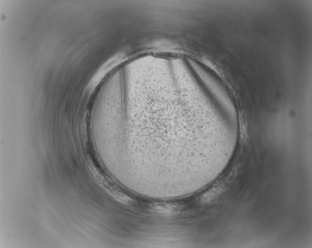 X0000053060199200508011923