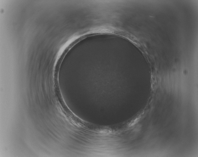 X0000053060200200508011923