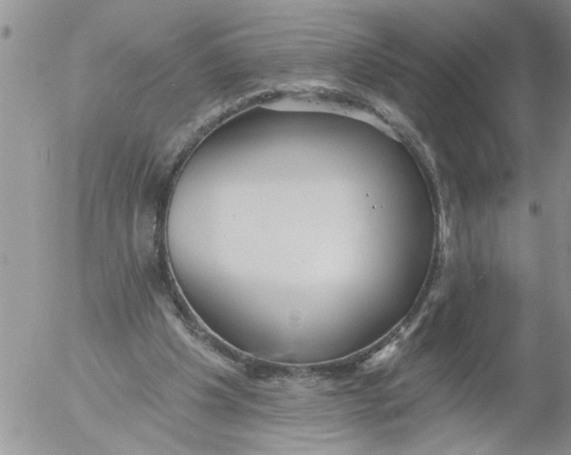 X0000053060201200508011923