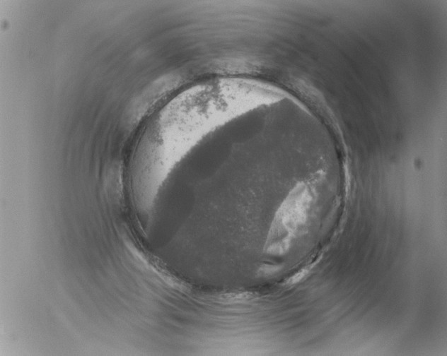 X0000053060202200508011923