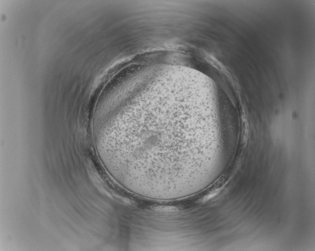 X0000053060203200508011923