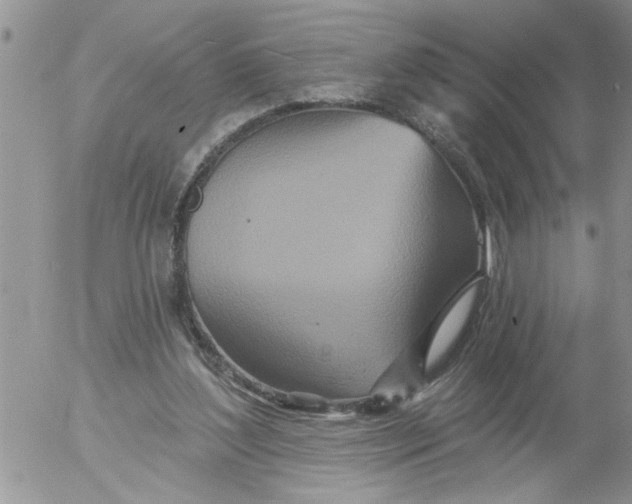 X0000053060204200508011923