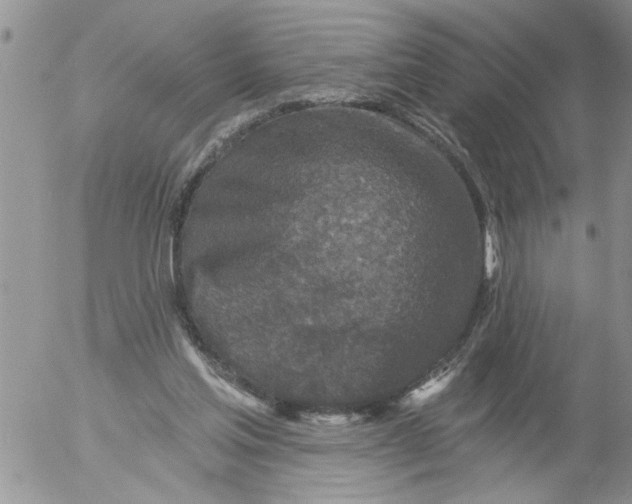 X0000053060205200508011923