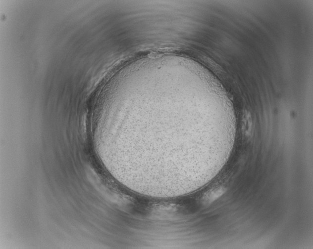 X0000053060206200508011923