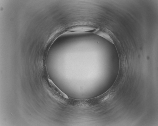 X0000053060207200508011923