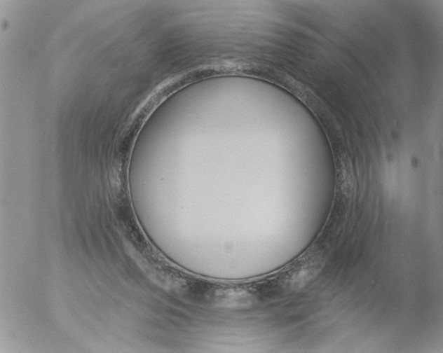 X0000053060208200508011923