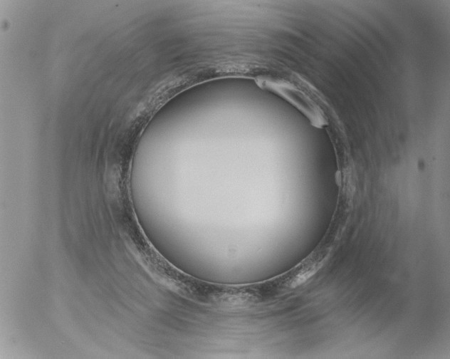 X0000053060209200508011922