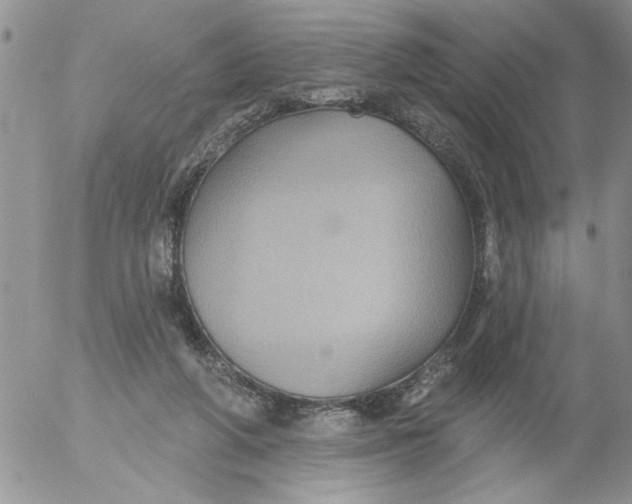 X0000053060210200508011922