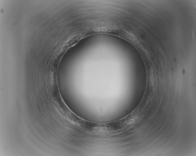 X0000053060211200508011922