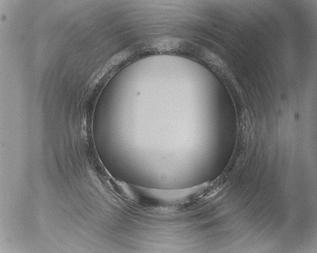 X0000053060212200508011922