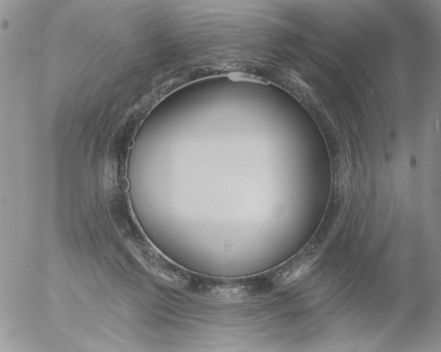 X0000053060213200508011922