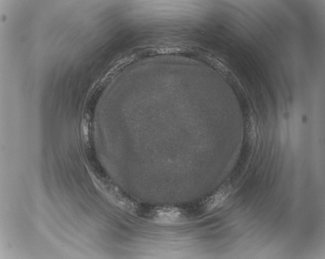 X0000053060214200508011922