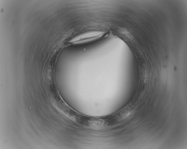 X0000053060215200508011922