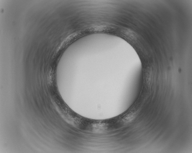 X0000053060216200508011922