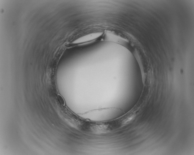 X0000053060217200508011922