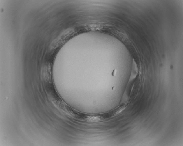 X0000053060218200508011922