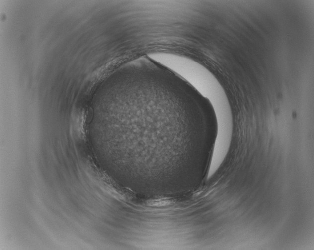 X0000053060219200508011922