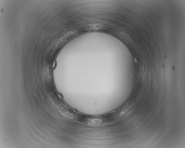 X0000053060220200508011922